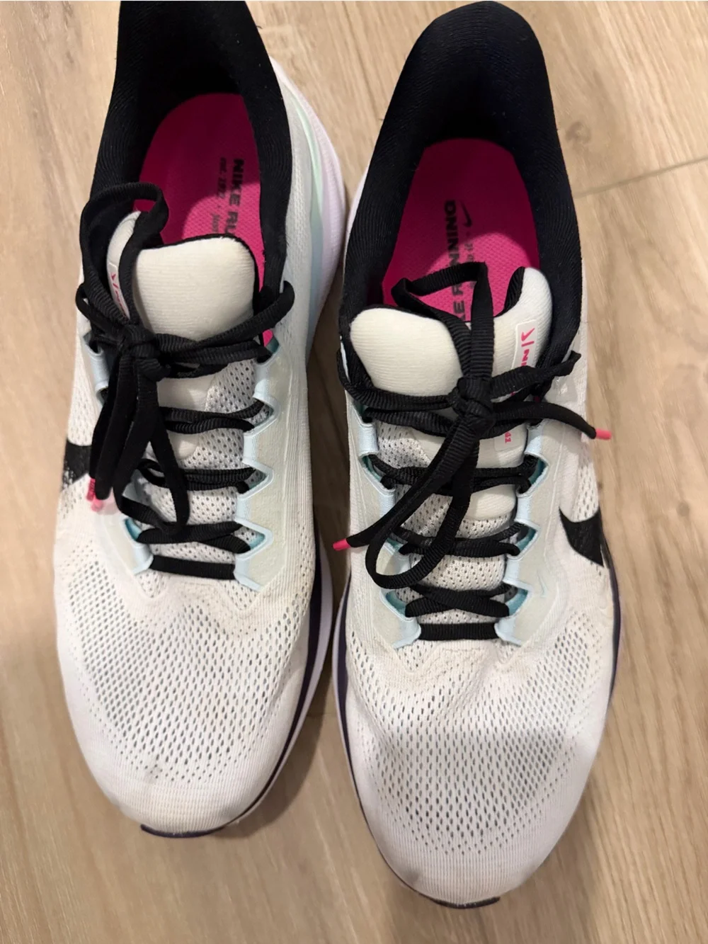 Nike men pegasus